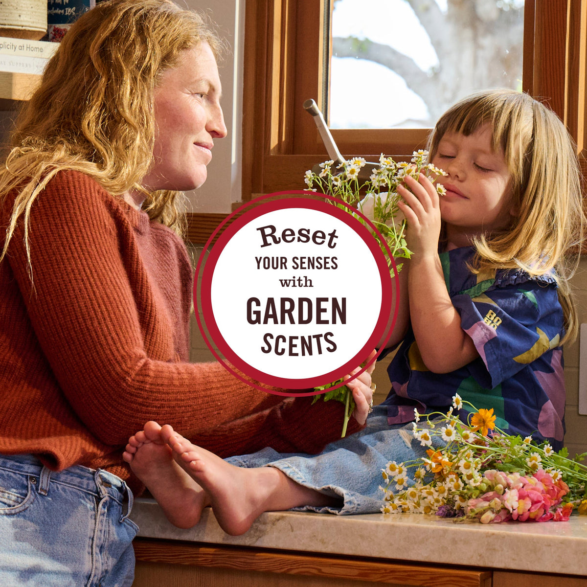 Apple Cider Liquid Hand Soap 3-count Bundle
