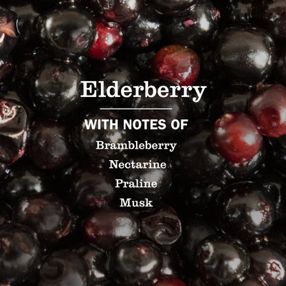 Elderberry Dish Soap 3-count Bundle