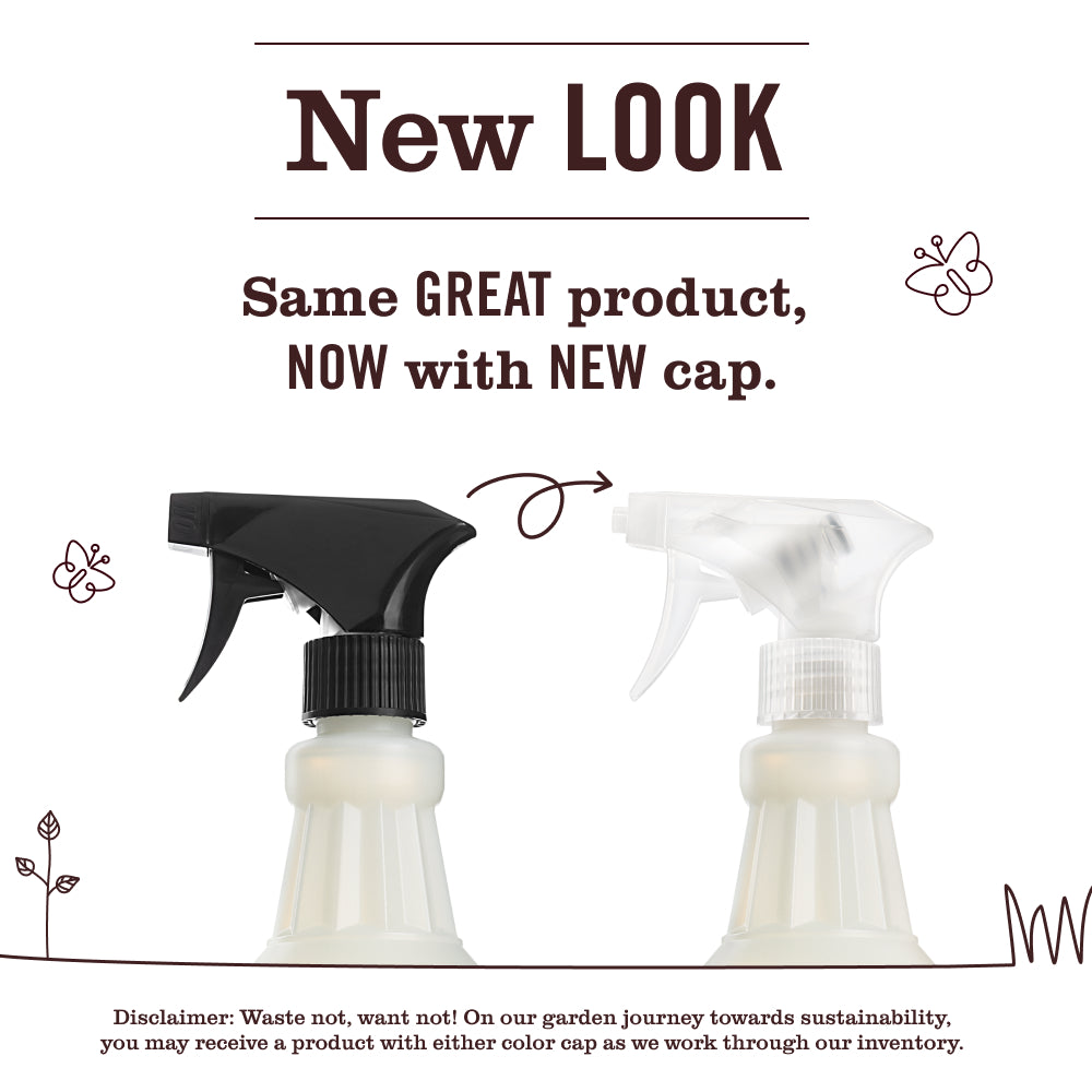 Daisy Multi-Surface Everyday Cleaner