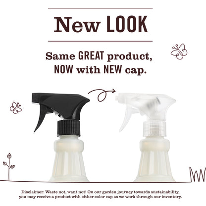 Daisy Multi-Surface Everyday Cleaner