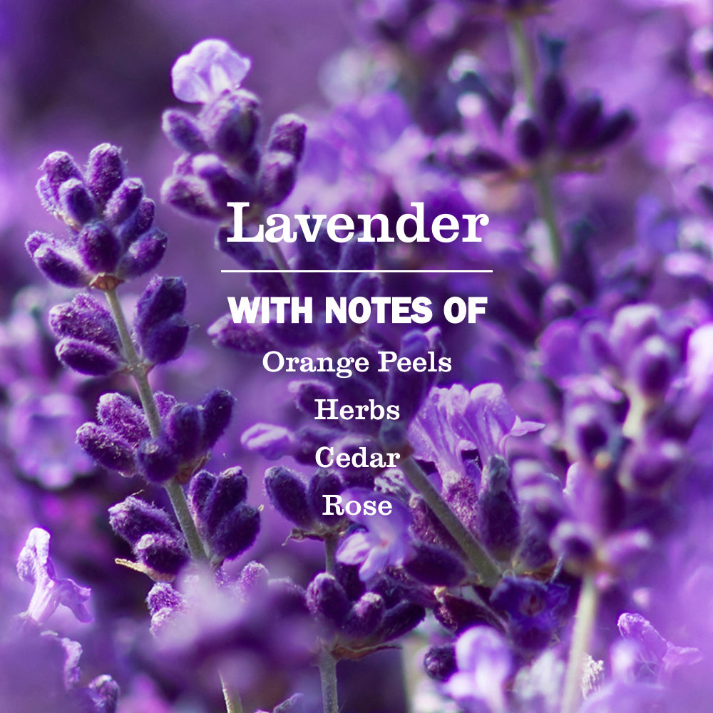 Lavender Fabric Softener