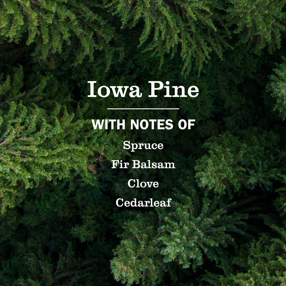 Iowa Pine Dish Soap 3-count Bundle